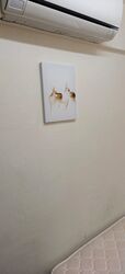Blk 254 Yishun Sunshine (Yishun), HDB 4 Rooms #582380901